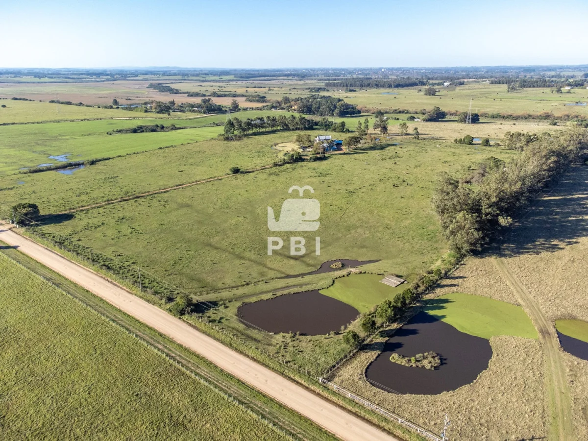Chacra en Punta Ballena, propiedad 270800 -Imagen 4
