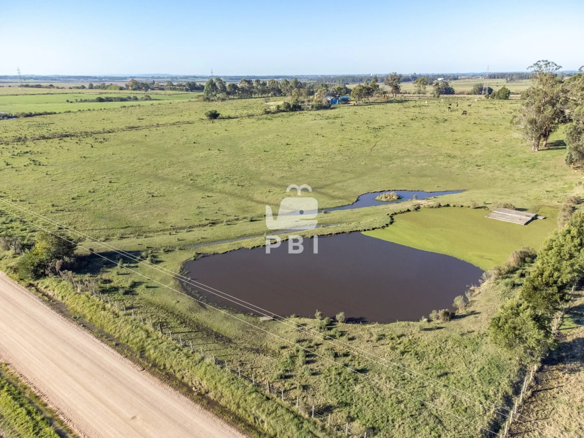 Chacra en Punta Ballena, propiedad 270800 -Imagen 5