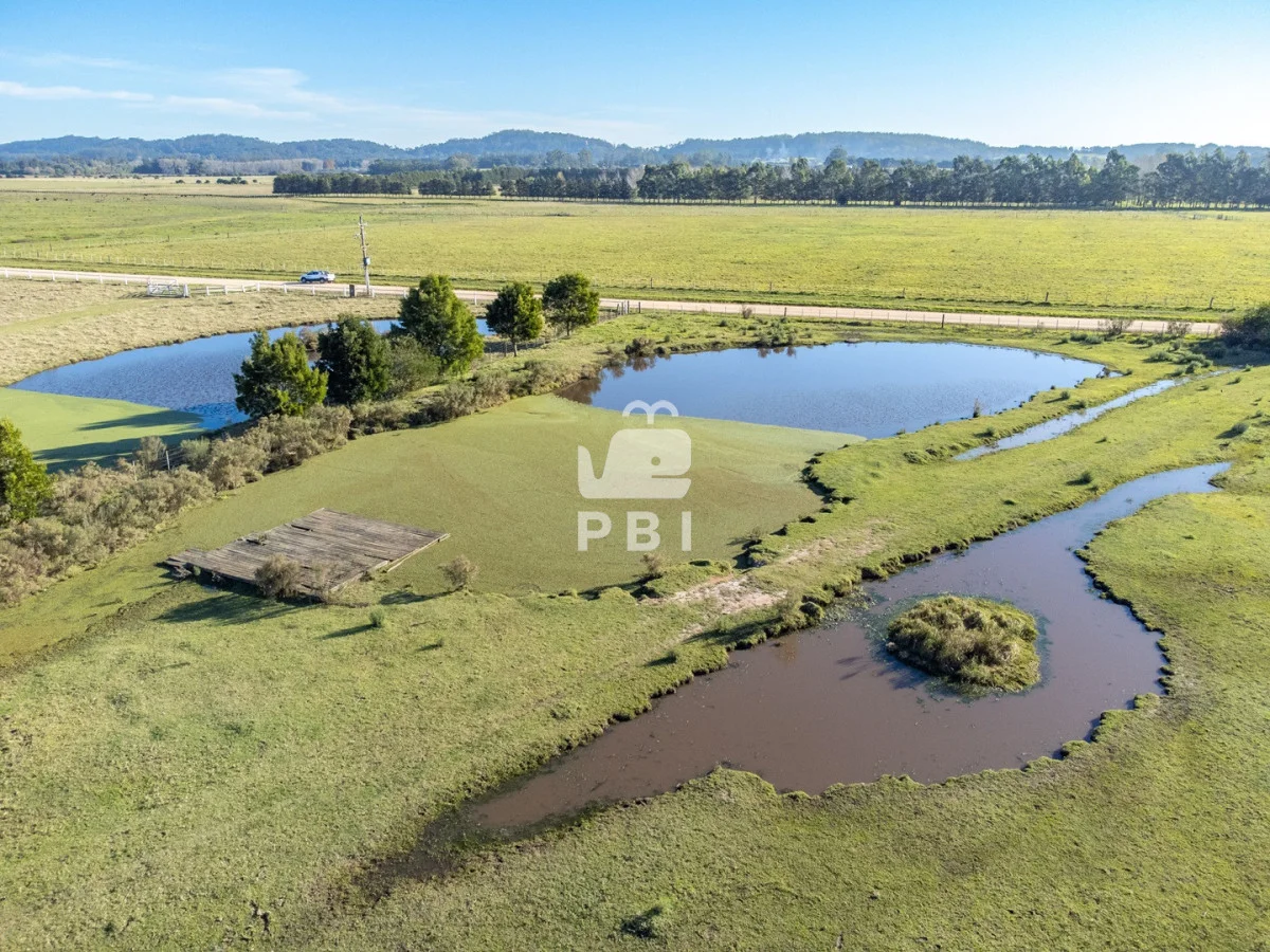 Chacra en Punta Ballena, propiedad 270800 -Imagen 6