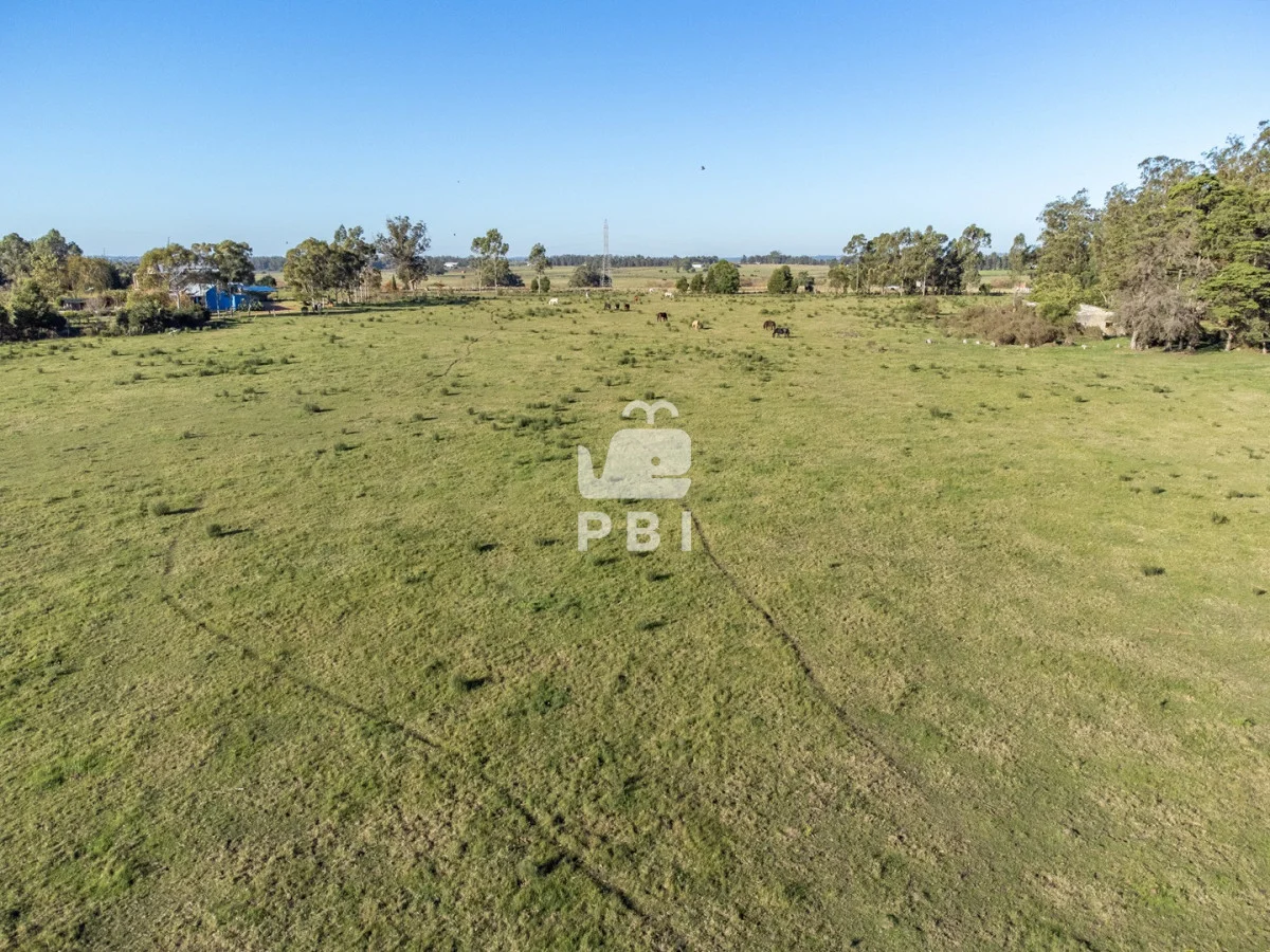 Chacra en Punta Ballena, propiedad 270800 -Imagen 8