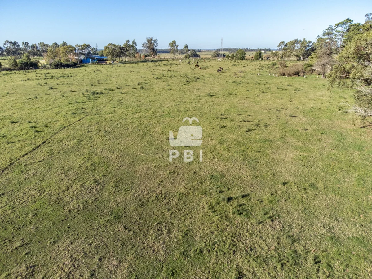 Chacra en Punta Ballena, propiedad 270800 -Imagen 9