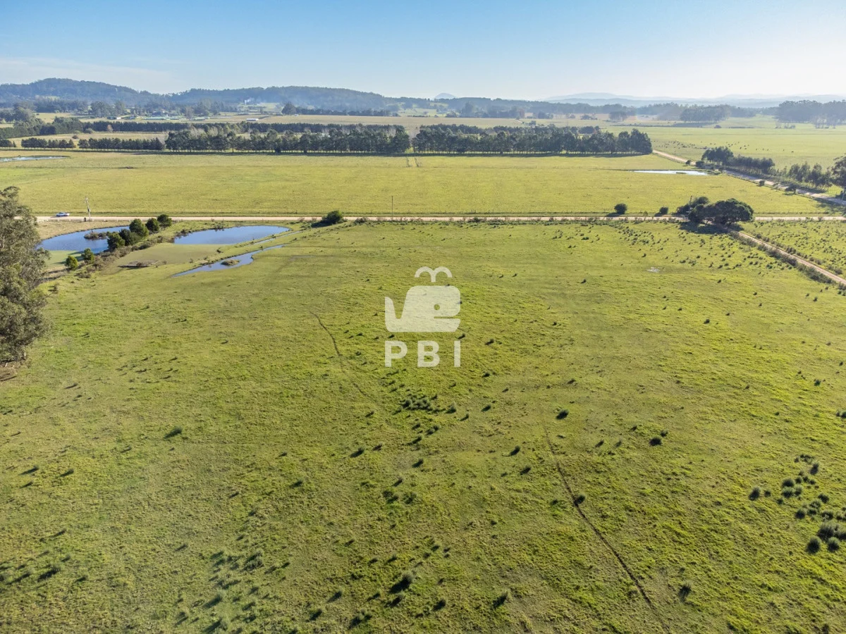 Chacra en Punta Ballena, propiedad 270800 -Imagen 10
