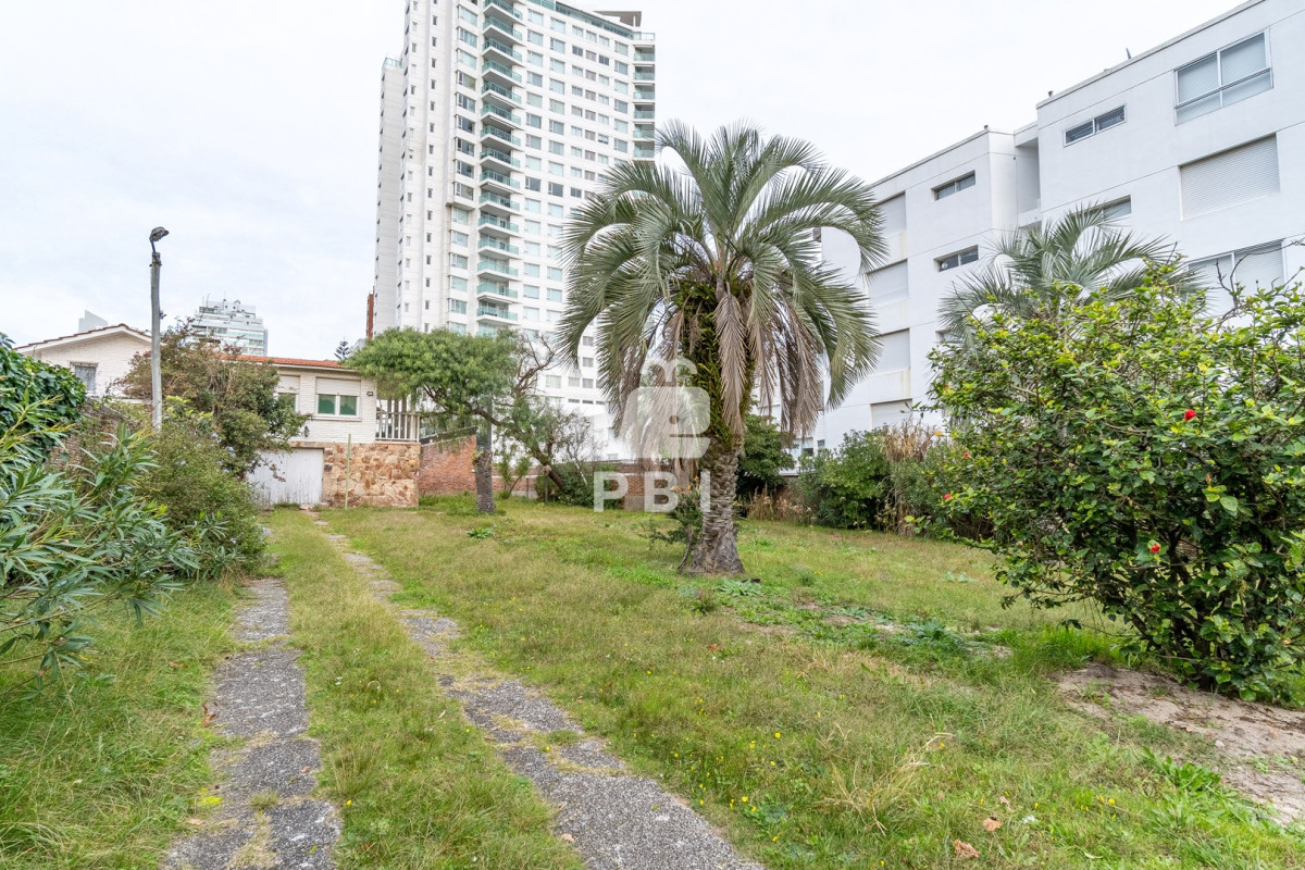 Casa en Playa Mansa, propiedad 272205 -Imagen 11