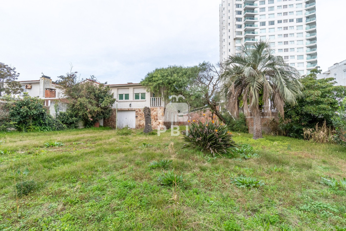Casa en Playa Mansa, propiedad 272205 -Imagen 12
