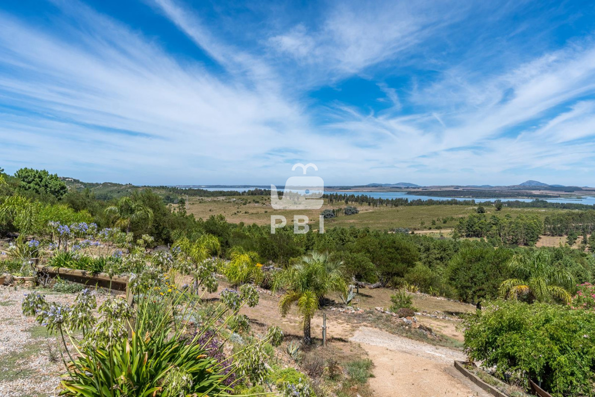 Chacra en Laguna del Sauce, propiedad 272623 -Imagen 7