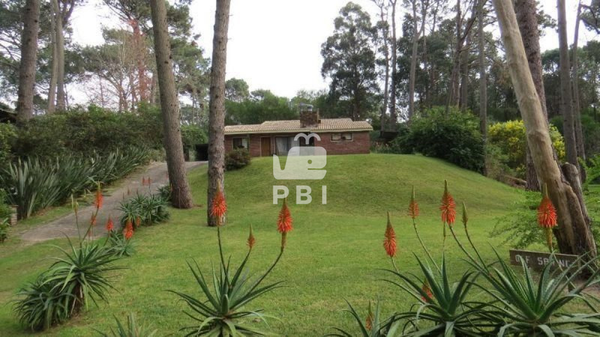 Casa en Punta Ballena, propiedad 273493 -Imagen 1