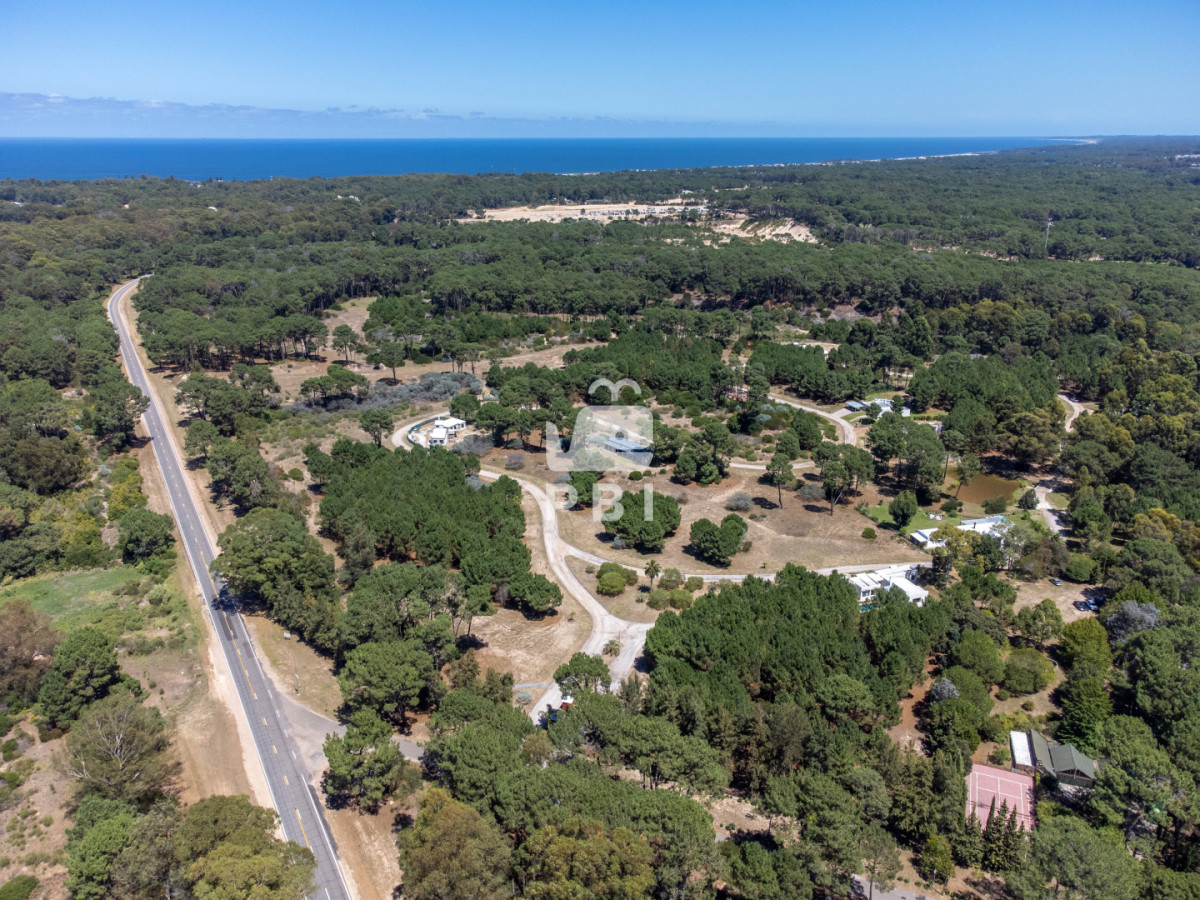 Terreno en Laguna del Sauce, propiedad 273731 -Imagen 3