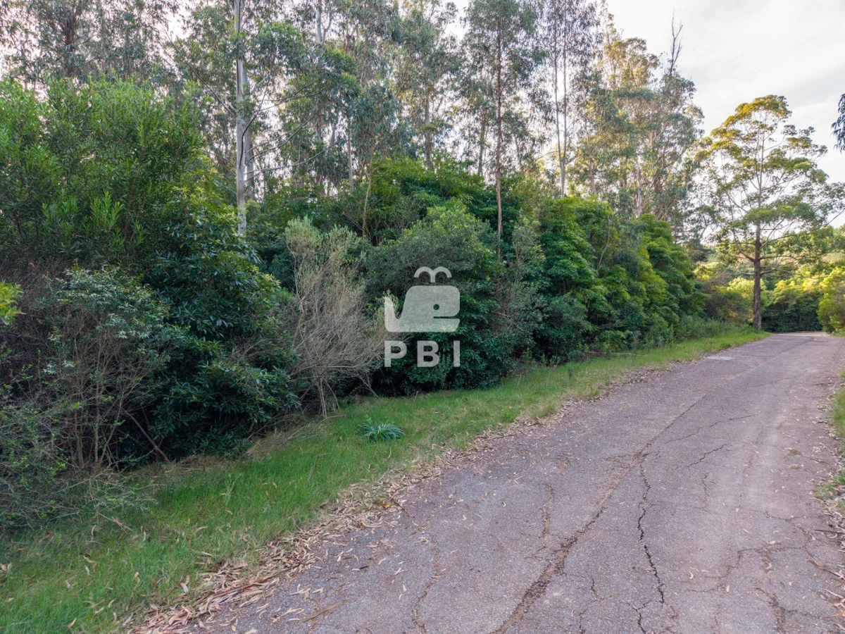 Terreno en Las Cumbres, propiedad 274772 -Imagen 13