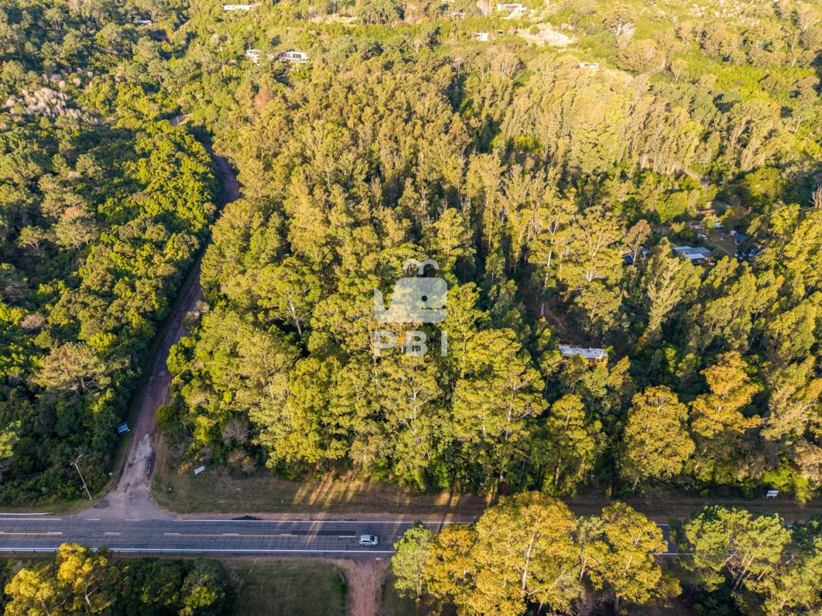Terreno en Las Cumbres, propiedad 274772 -Imagen 7