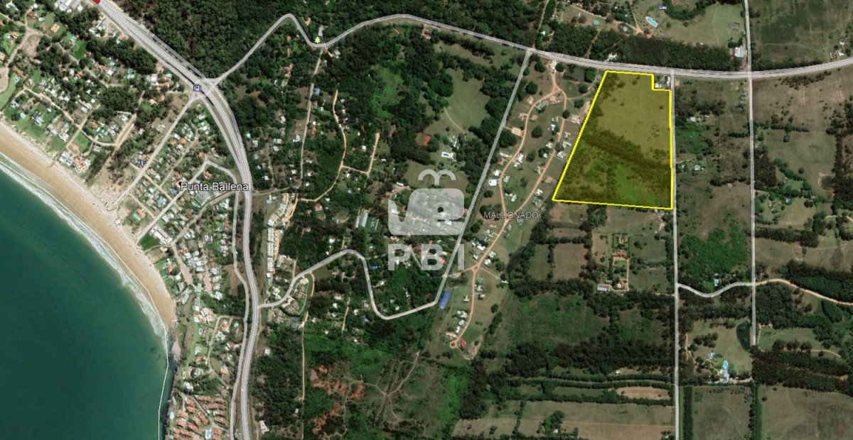 Terreno en Punta Ballena, propiedad 274940 -Imagen 2