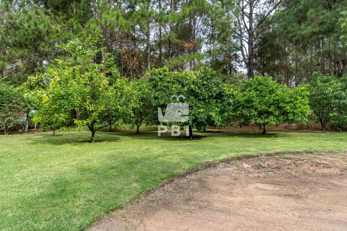 Casa en Punta Ballena, propiedad 275414 -Imagen 24