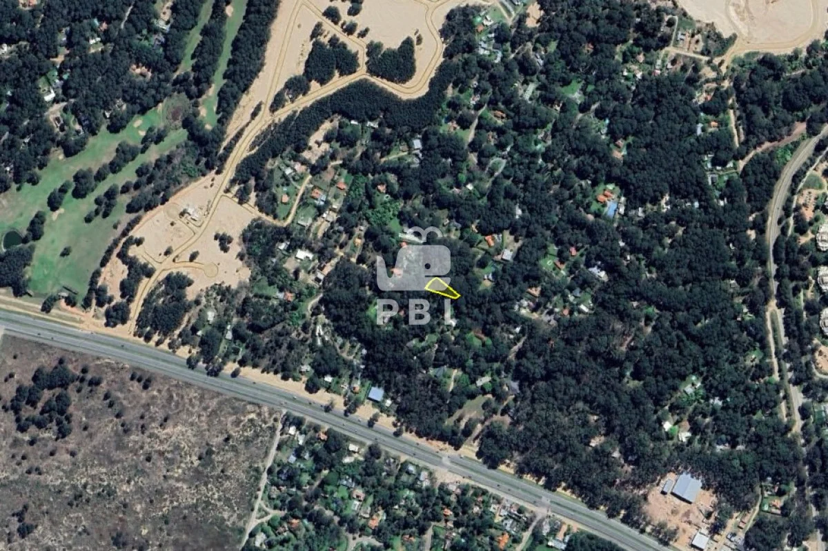 Terreno en Punta Ballena, propiedad 275930 -Imagen 2