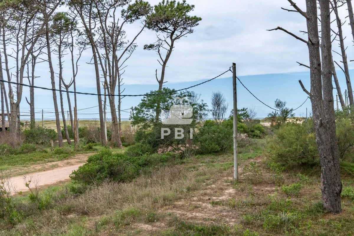 Casa en Ocean Park, propiedad 284207 -Imagen 23
