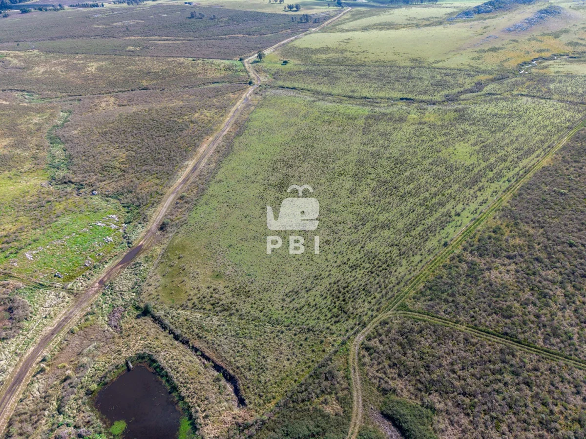 Chacra en Laguna del Sauce, propiedad 284638 -Imagen 3