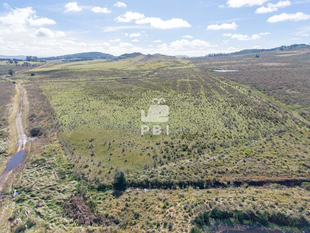 Chacra en Laguna del Sauce, propiedad 284638 -Imagen 5