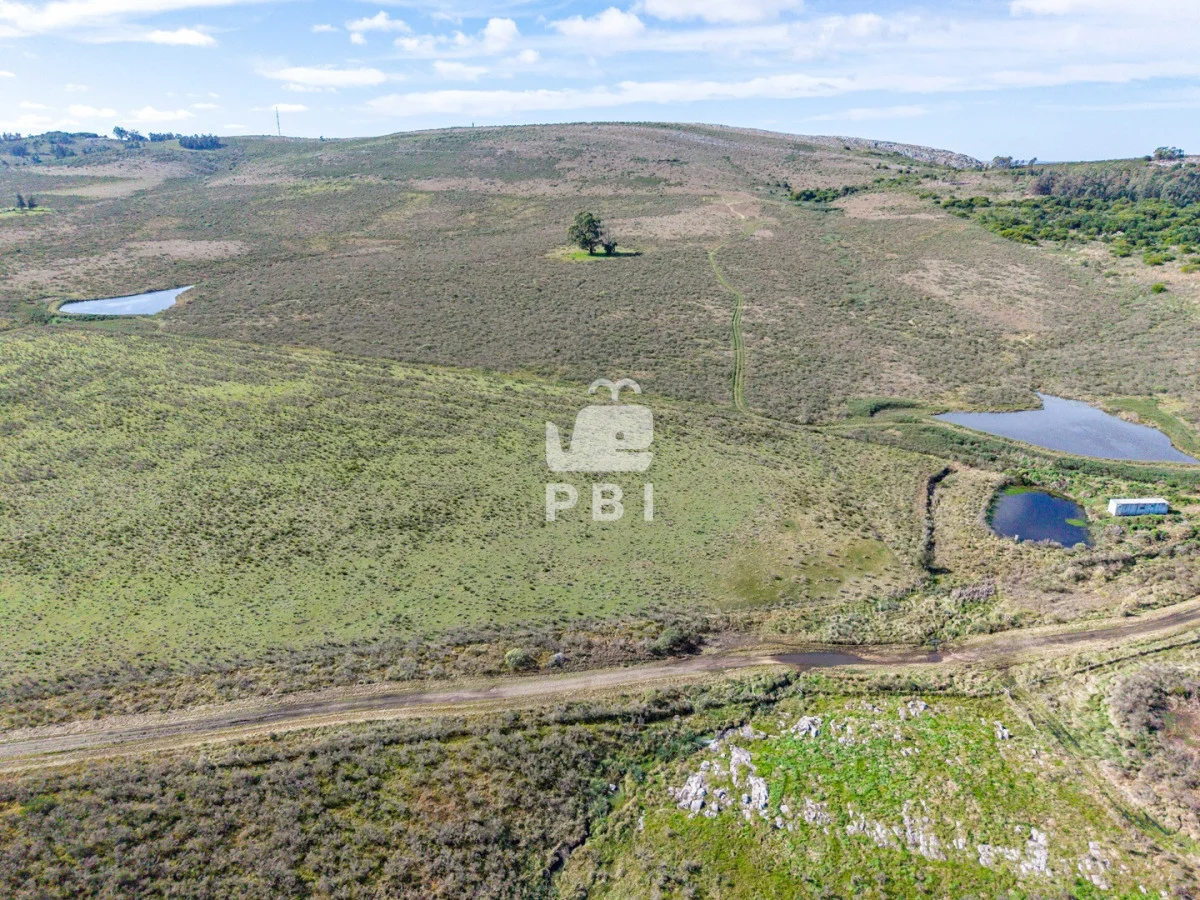 Chacra en Laguna del Sauce, propiedad 284638 -Imagen 8