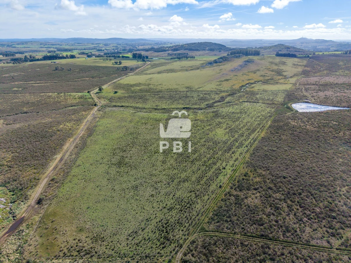 Chacra en Laguna del Sauce, propiedad 284639 -Imagen 4