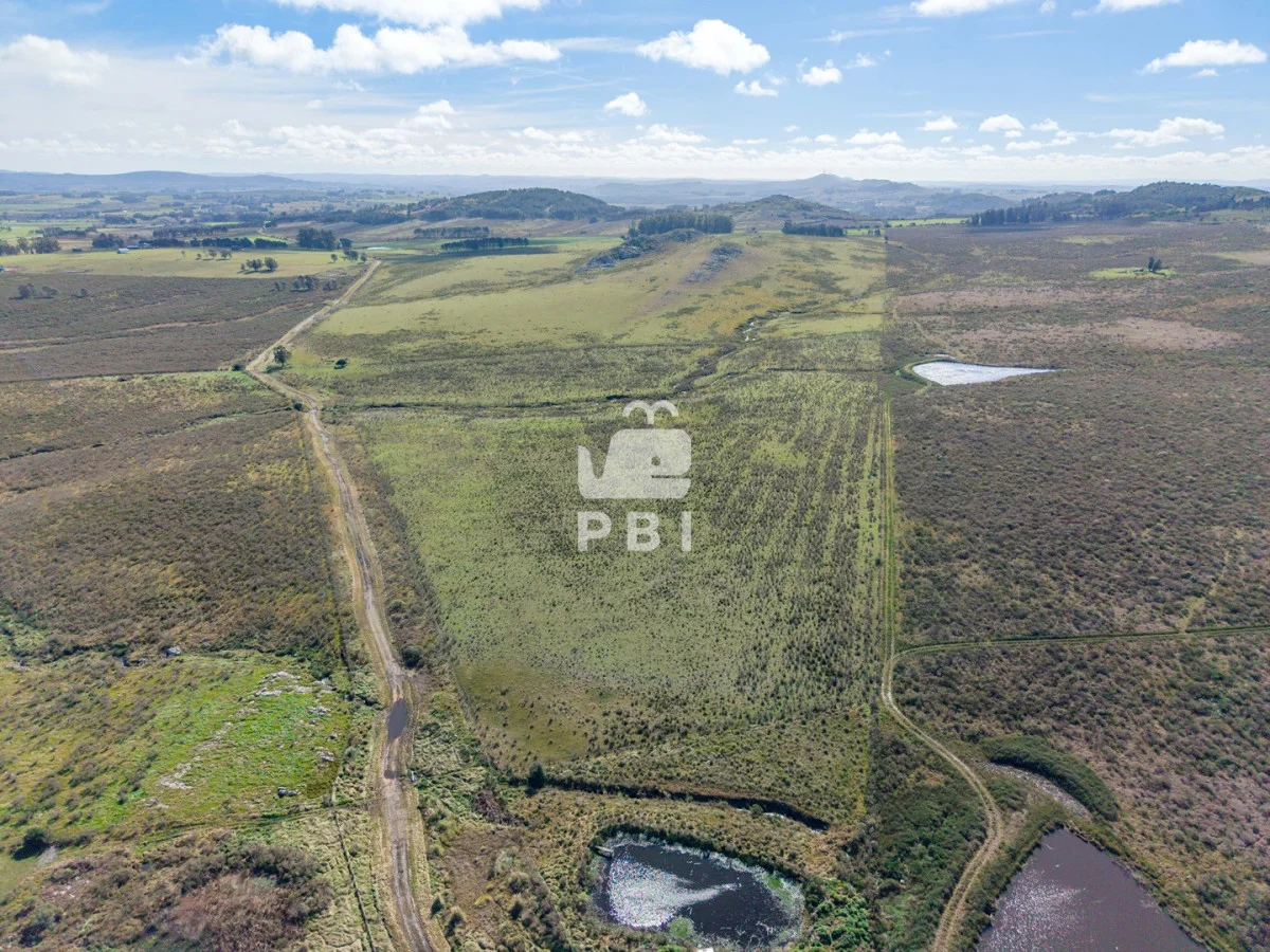 Chacra en Laguna del Sauce, propiedad 284639 -Imagen 5
