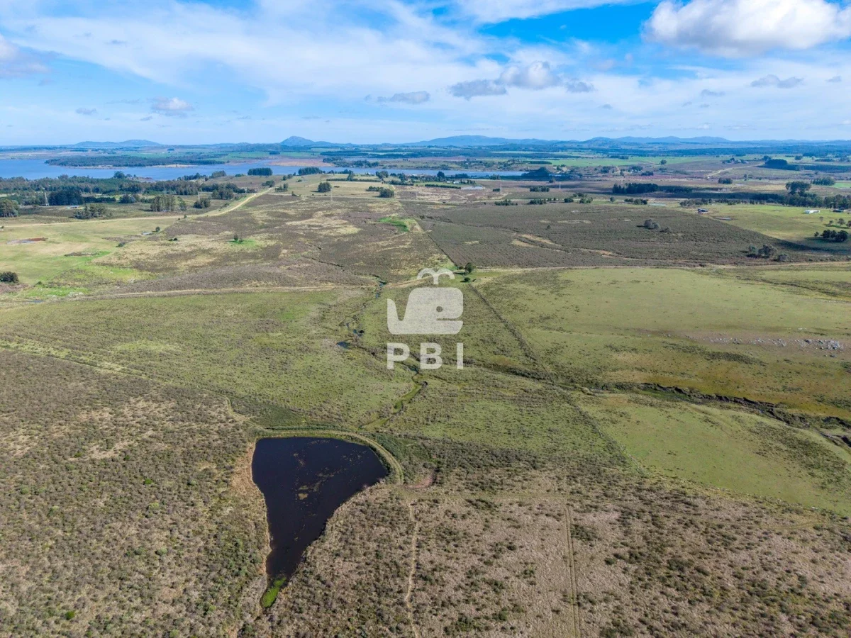 Chacra en Laguna del Sauce, propiedad 284640 -Imagen 2