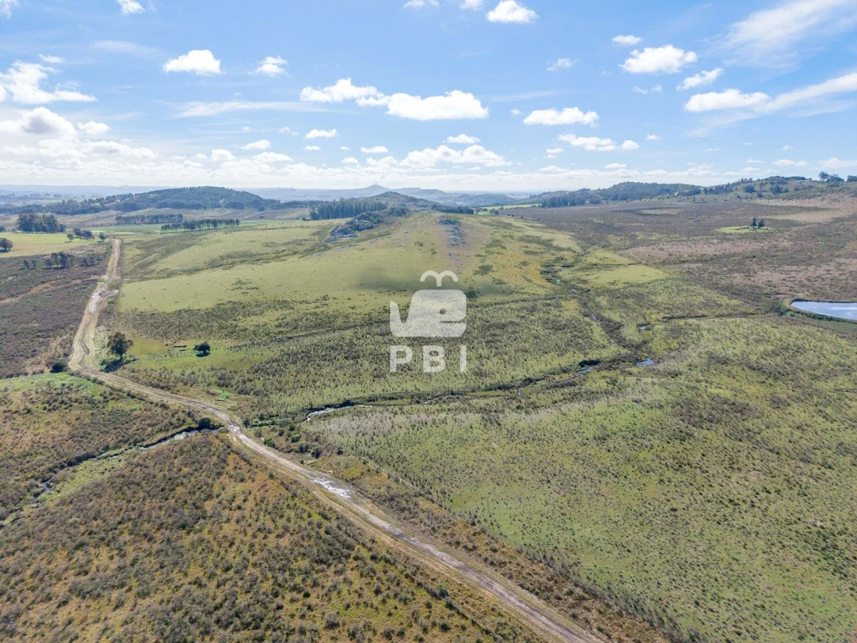 Chacra en Laguna del Sauce, propiedad 284640 -Imagen 12
