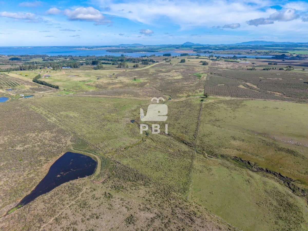 Chacra en Laguna del Sauce, propiedad 284640 -Imagen 3