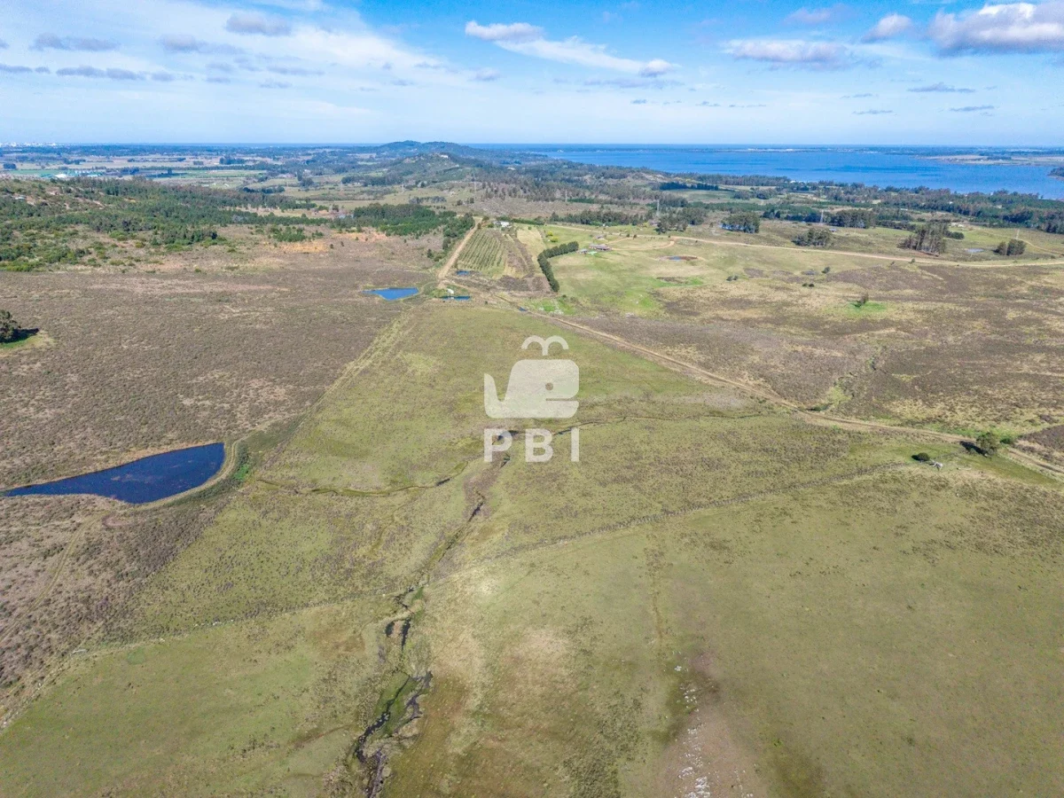 Chacra en Laguna del Sauce, propiedad 284640 -Imagen 4
