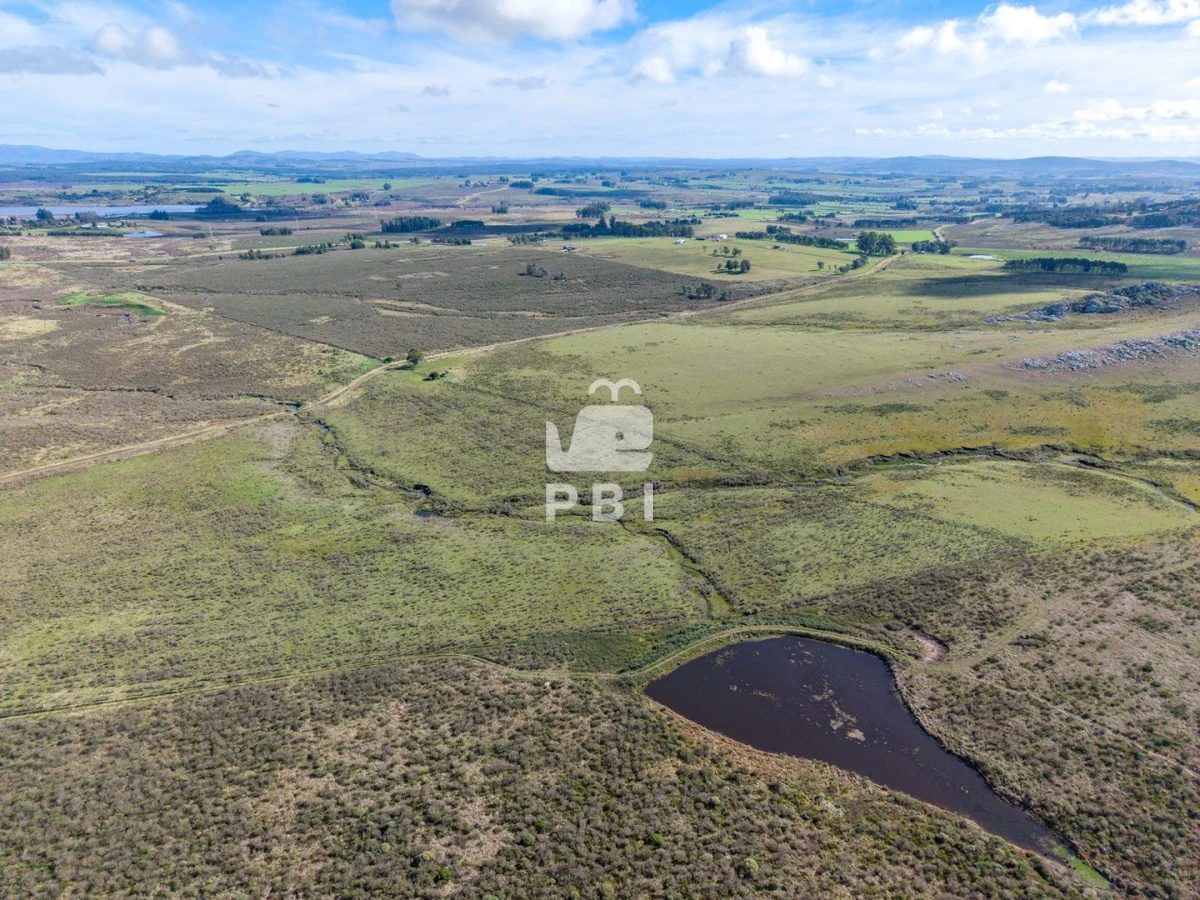 Chacra en Laguna del Sauce, propiedad 284640 -Imagen 5