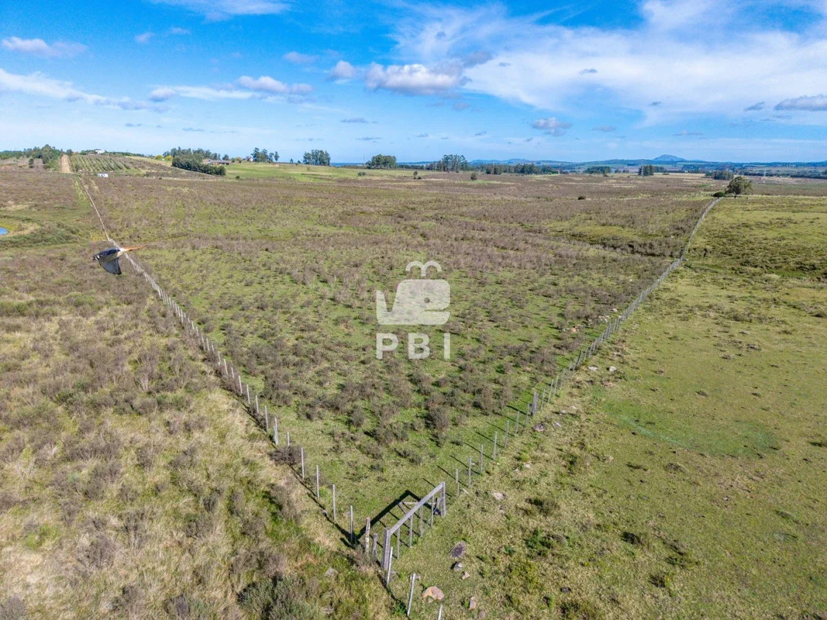 Chacra en Laguna del Sauce, propiedad 284640 -Imagen 6