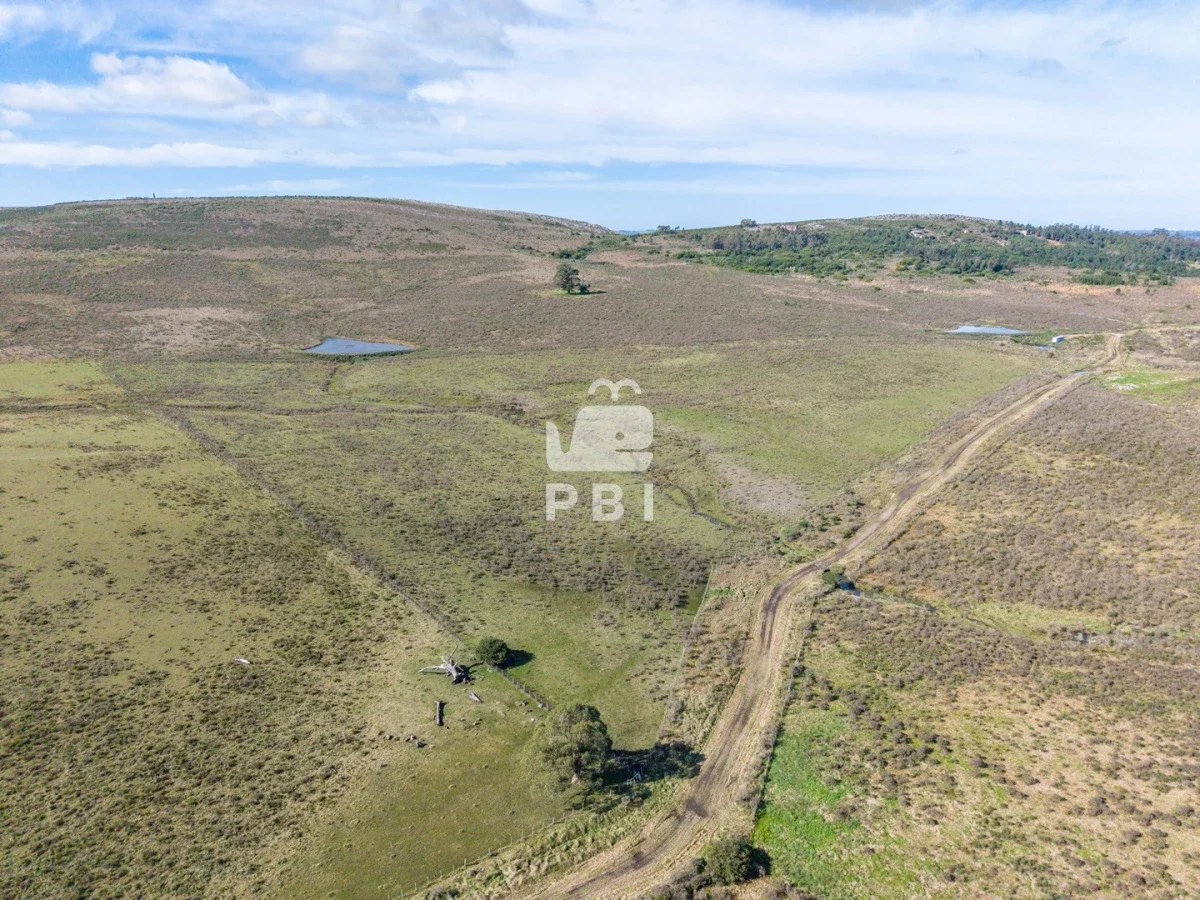 Chacra en Laguna del Sauce, propiedad 284640 -Imagen 10