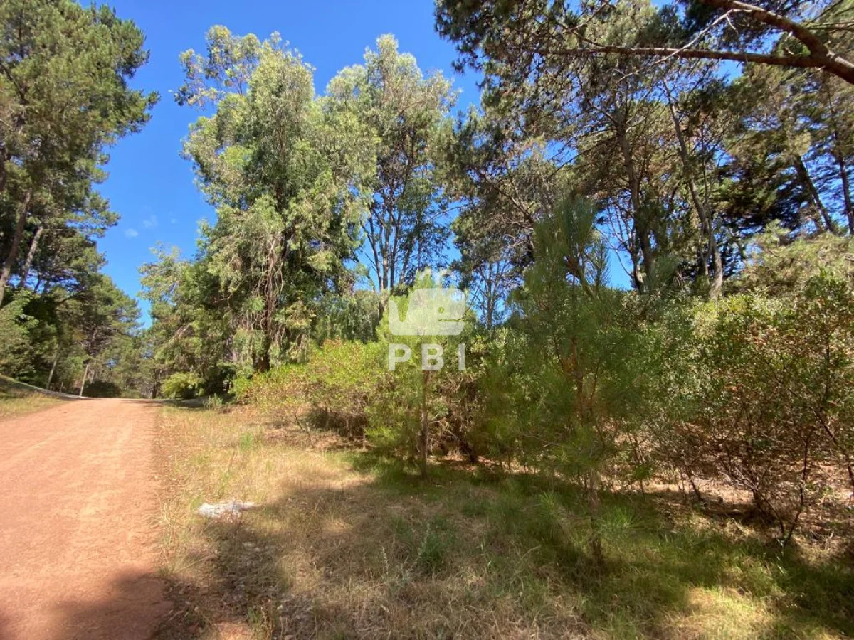 Terreno en Punta Ballena, propiedad 284682 -Imagen 2