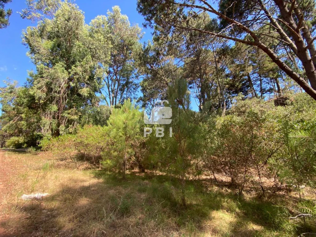 Terreno en Punta Ballena, propiedad 284682 -Imagen 3