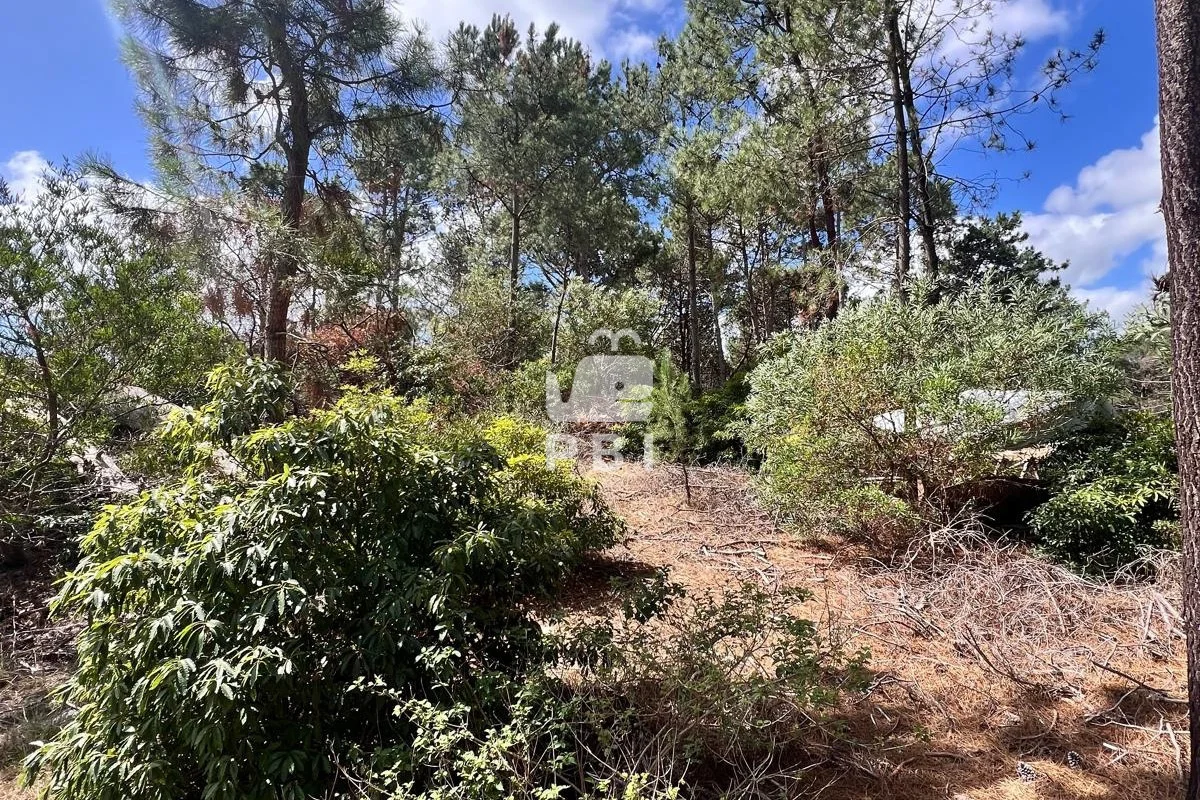 Terreno en Punta Ballena, propiedad 285441 -Imagen 1