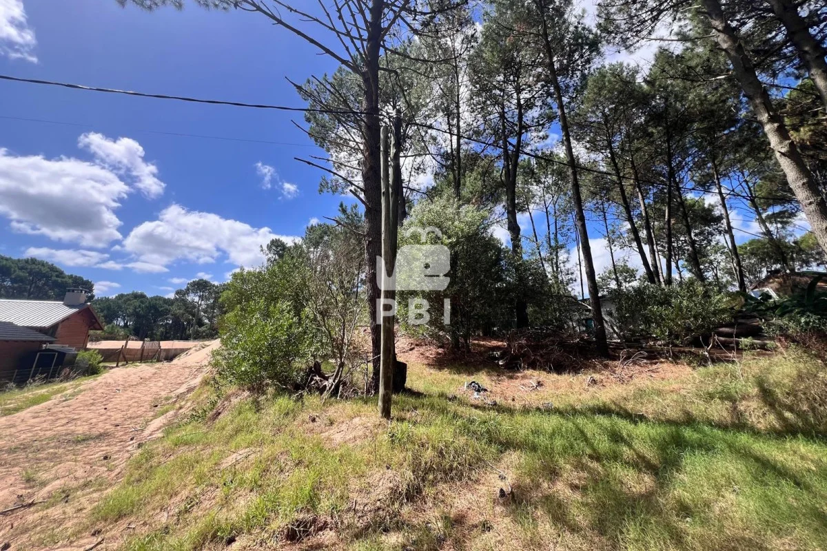 Terreno en Punta Ballena, propiedad 285441 -Imagen 2