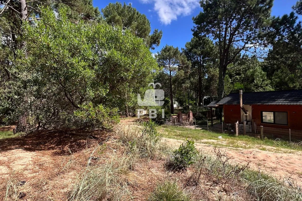 Terreno en Punta Ballena, propiedad 285441 -Imagen 4