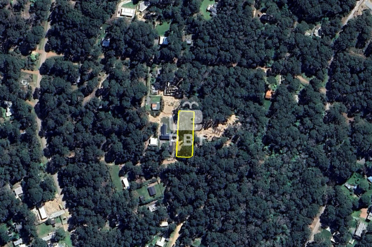 Terreno en Punta Ballena, propiedad 285441 -Imagen 5