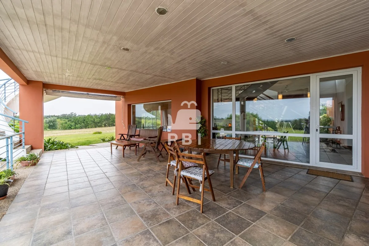 Chacra en Punta Ballena, propiedad 285554 -Imagen 13