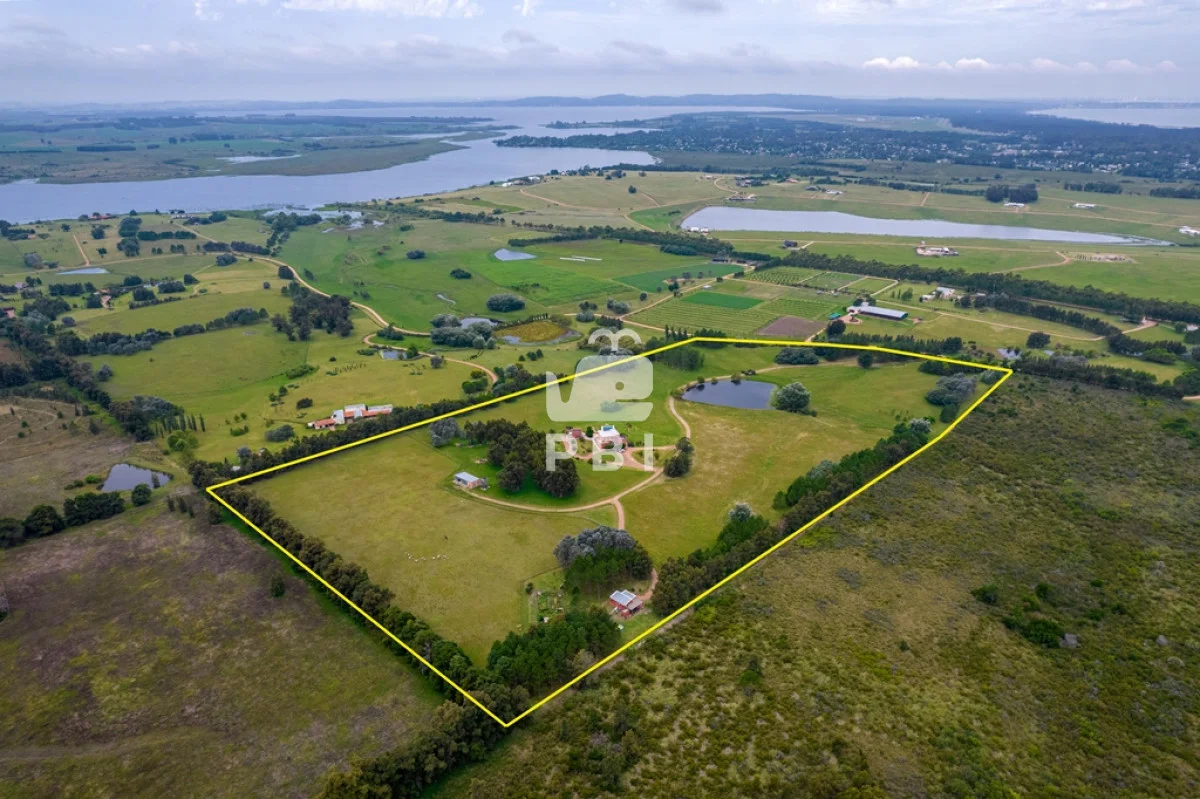 Chacra en Punta Ballena, propiedad 285554 -Imagen 4