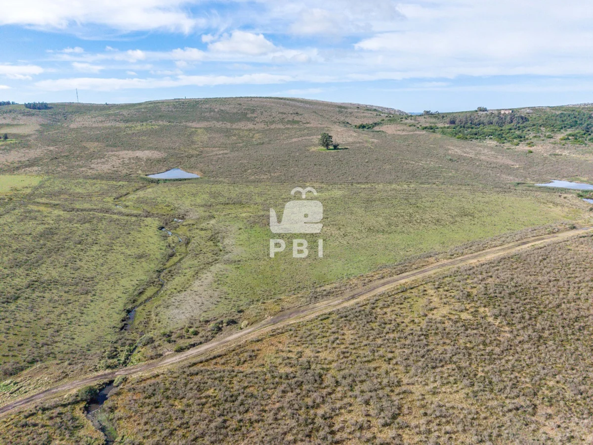 Chacra en Laguna del Sauce, propiedad 285607 -Imagen 12