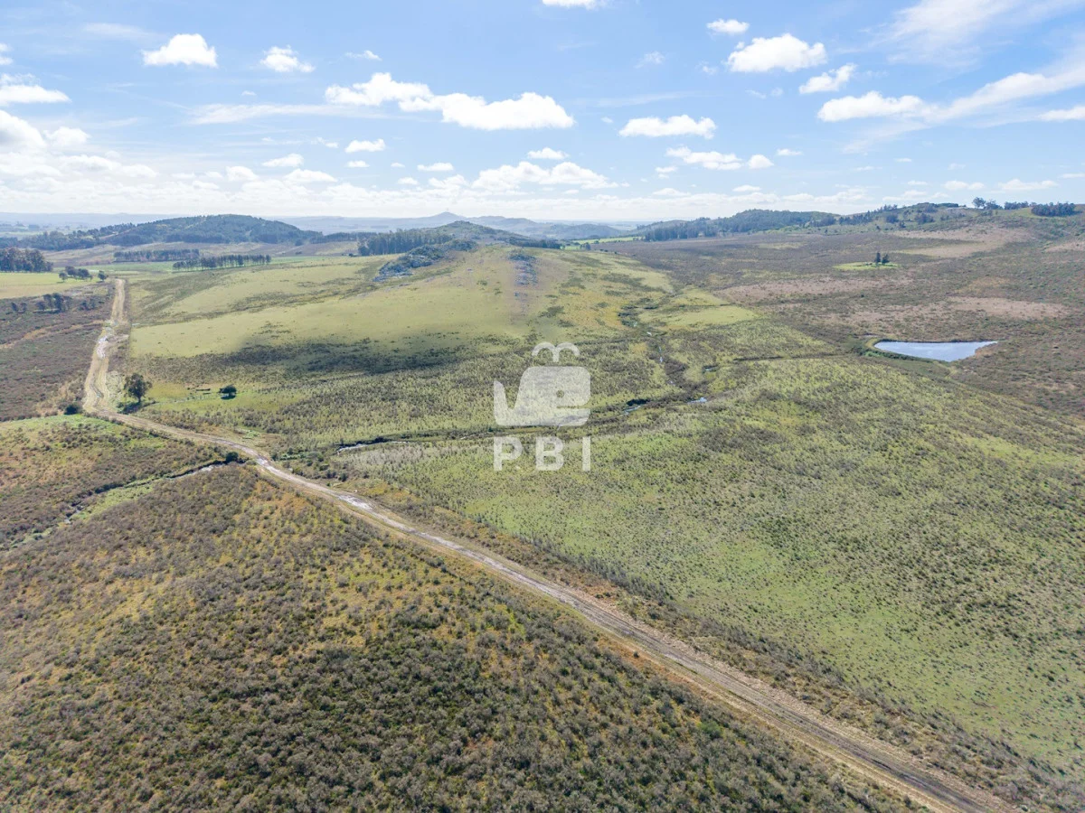 Chacra en Laguna del Sauce, propiedad 285607 -Imagen 13