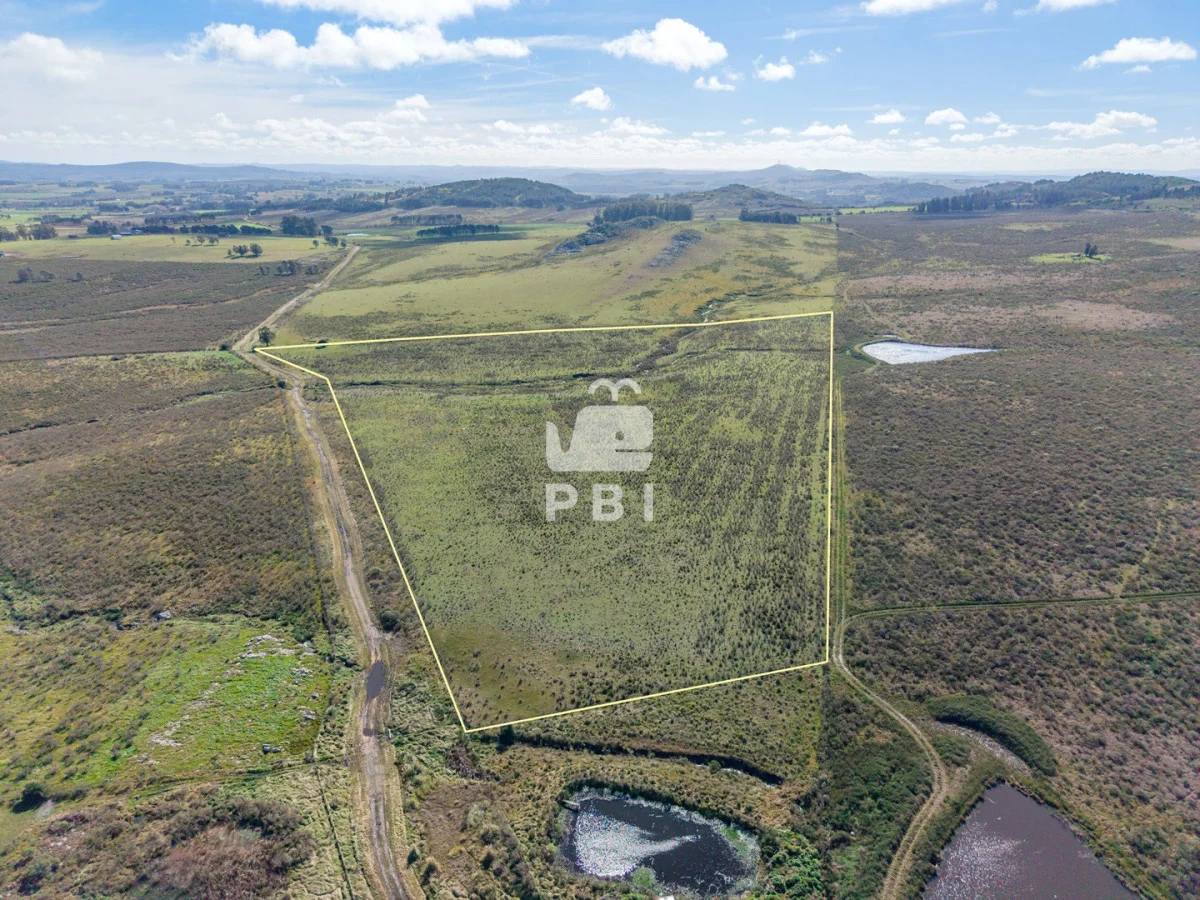 Chacra en Laguna del Sauce, propiedad 285607 -Imagen 14