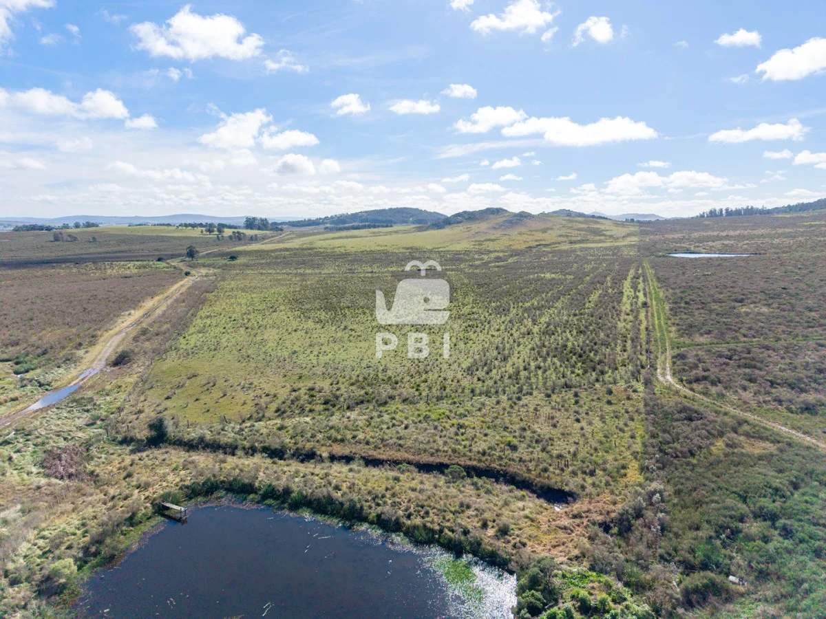 Chacra en Laguna del Sauce, propiedad 285607 -Imagen 16