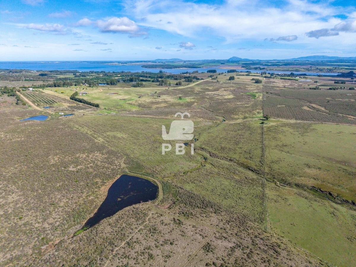 Chacra en Laguna del Sauce, propiedad 285607 -Imagen 3