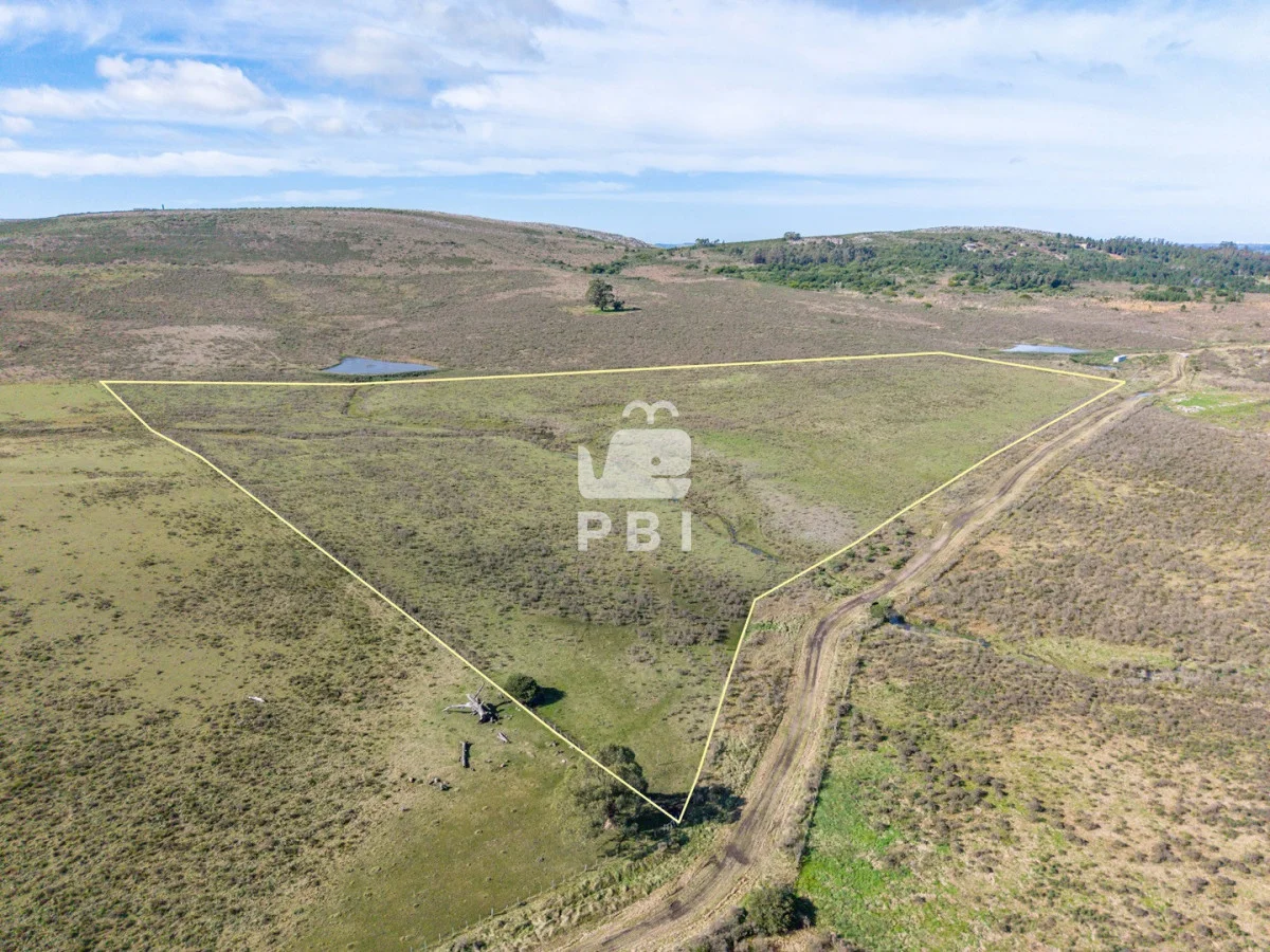 Chacra en Laguna del Sauce, propiedad 285607 -Imagen 10