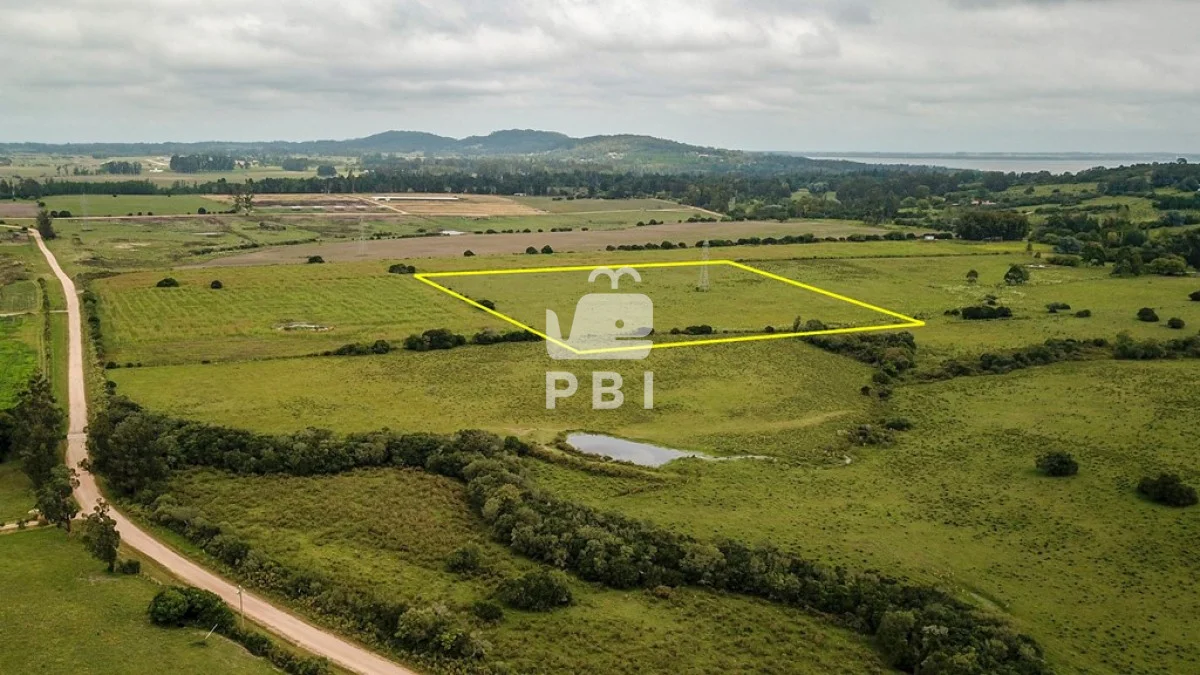 Chacra en Punta Ballena, propiedad 287182 -Imagen 1