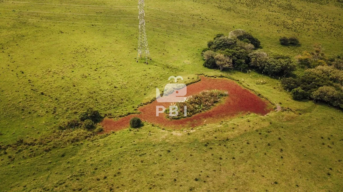 Chacra en Punta Ballena, propiedad 287184 -Imagen 3