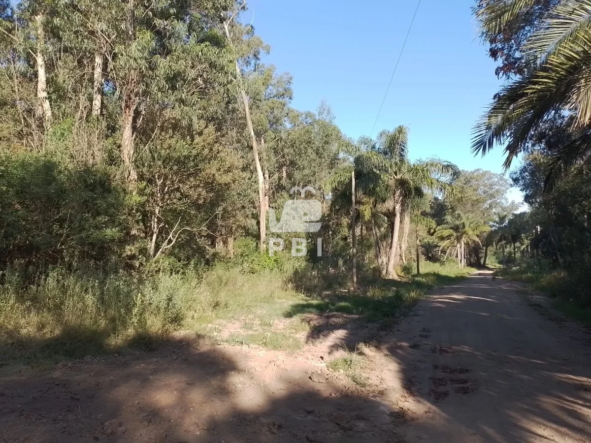 Terreno en Sauce de Portezuelo, propiedad 289302 -Imagen 2