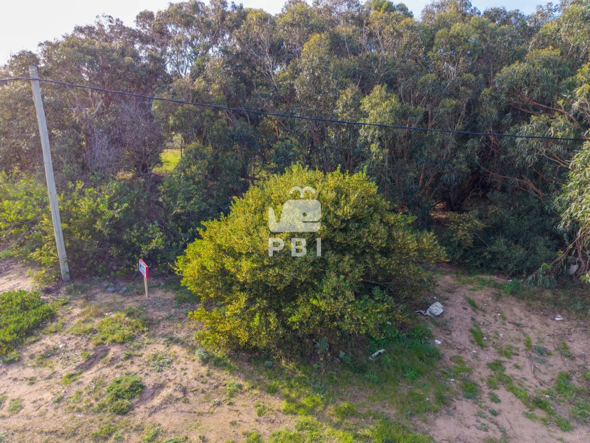 Terreno en Sauce de Portezuelo, propiedad 291531 -Imagen 11