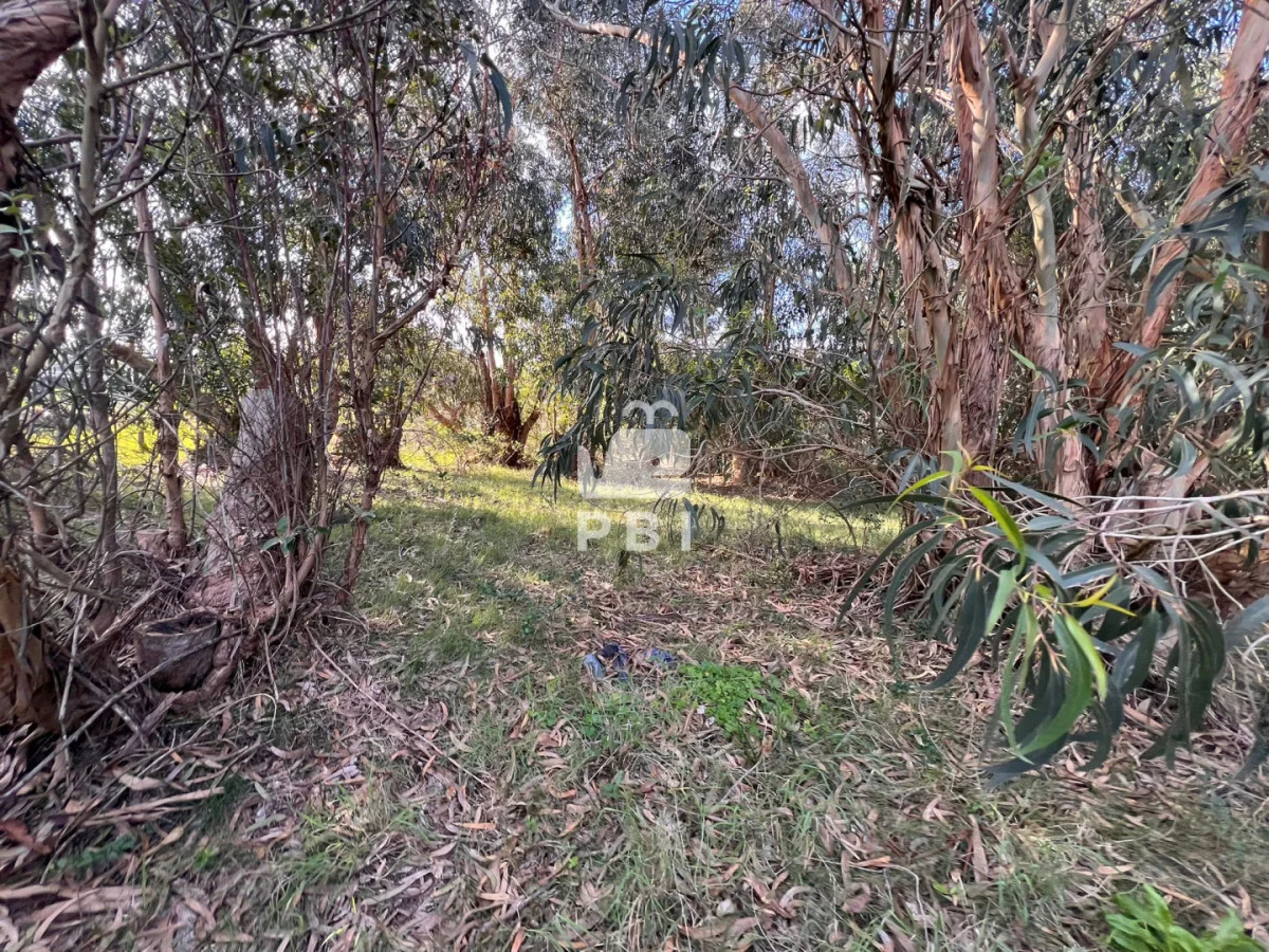 Terreno en Sauce de Portezuelo, propiedad 291532 -Imagen 14