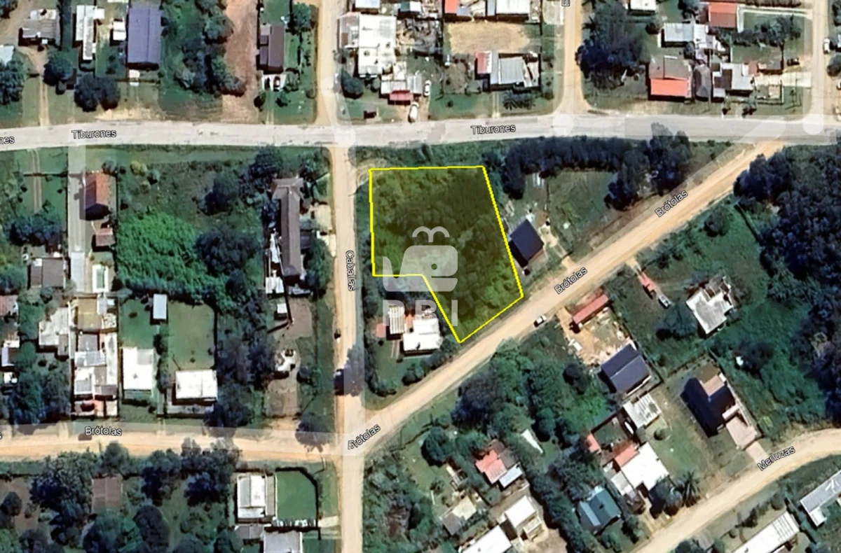 Terreno en El Chorro, propiedad 291636 -Imagen 2