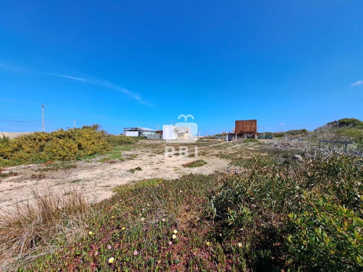 Terreno en Santa Monica, propiedad 295163 -Imagen 4